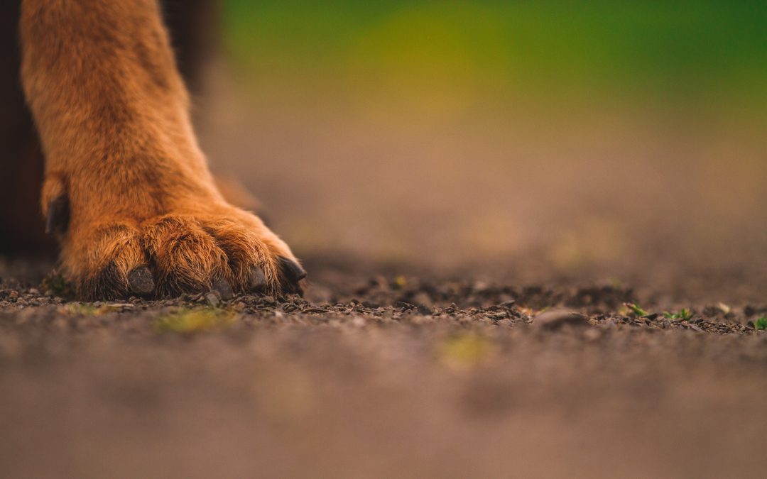 Stai già lasciando il tuo segno