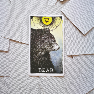 ORSO Cosa mi blocca