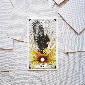 AQUILA Dove Sono